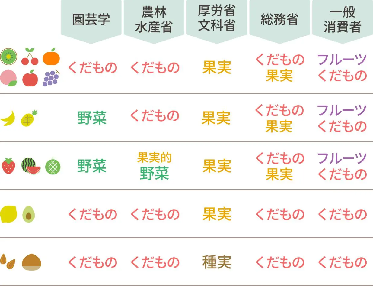 果物 野菜 違い