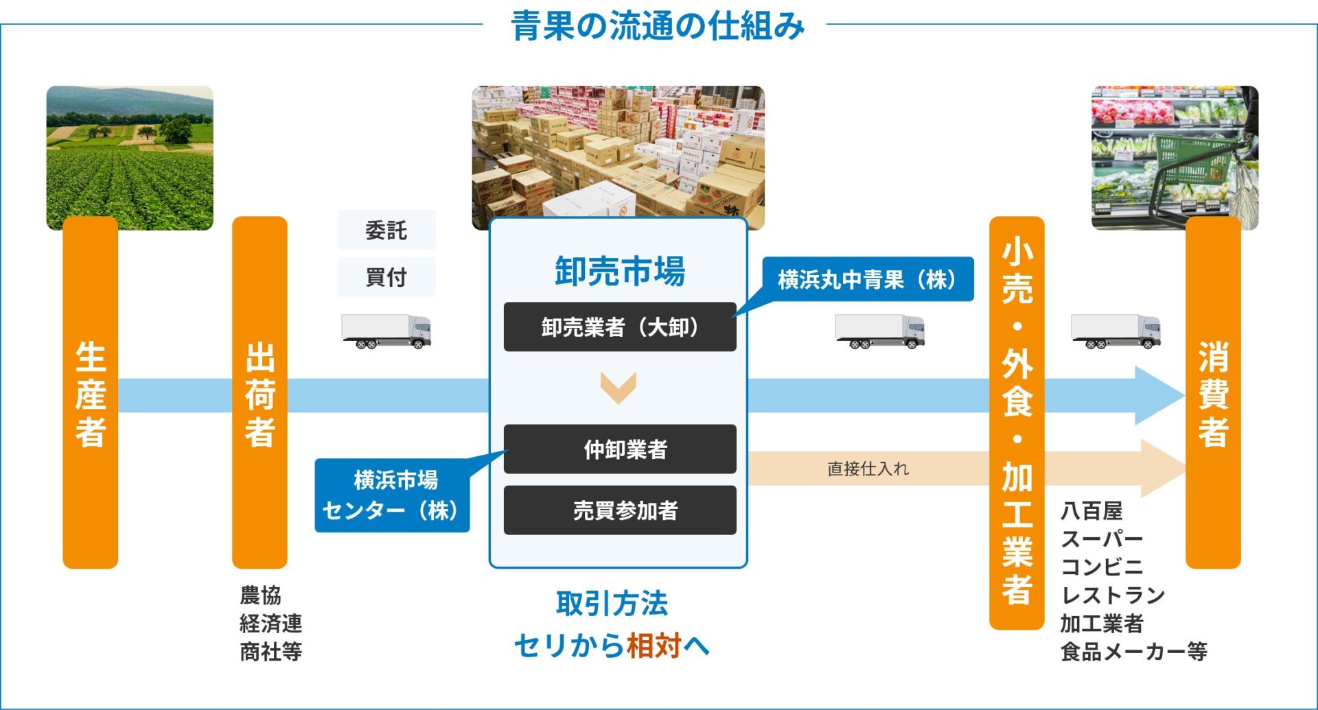 青果市場とは？流通の仕組みや利用者、仕入れルートから買参人登録まで 