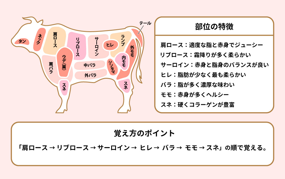精肉業界の仕事で必須!肉の部位知識と実践活用ガイド | オイシルメディア