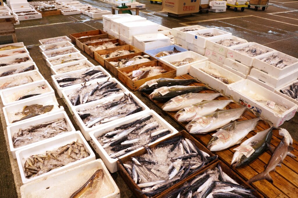 水産問屋の最近の動向と今後の注目点