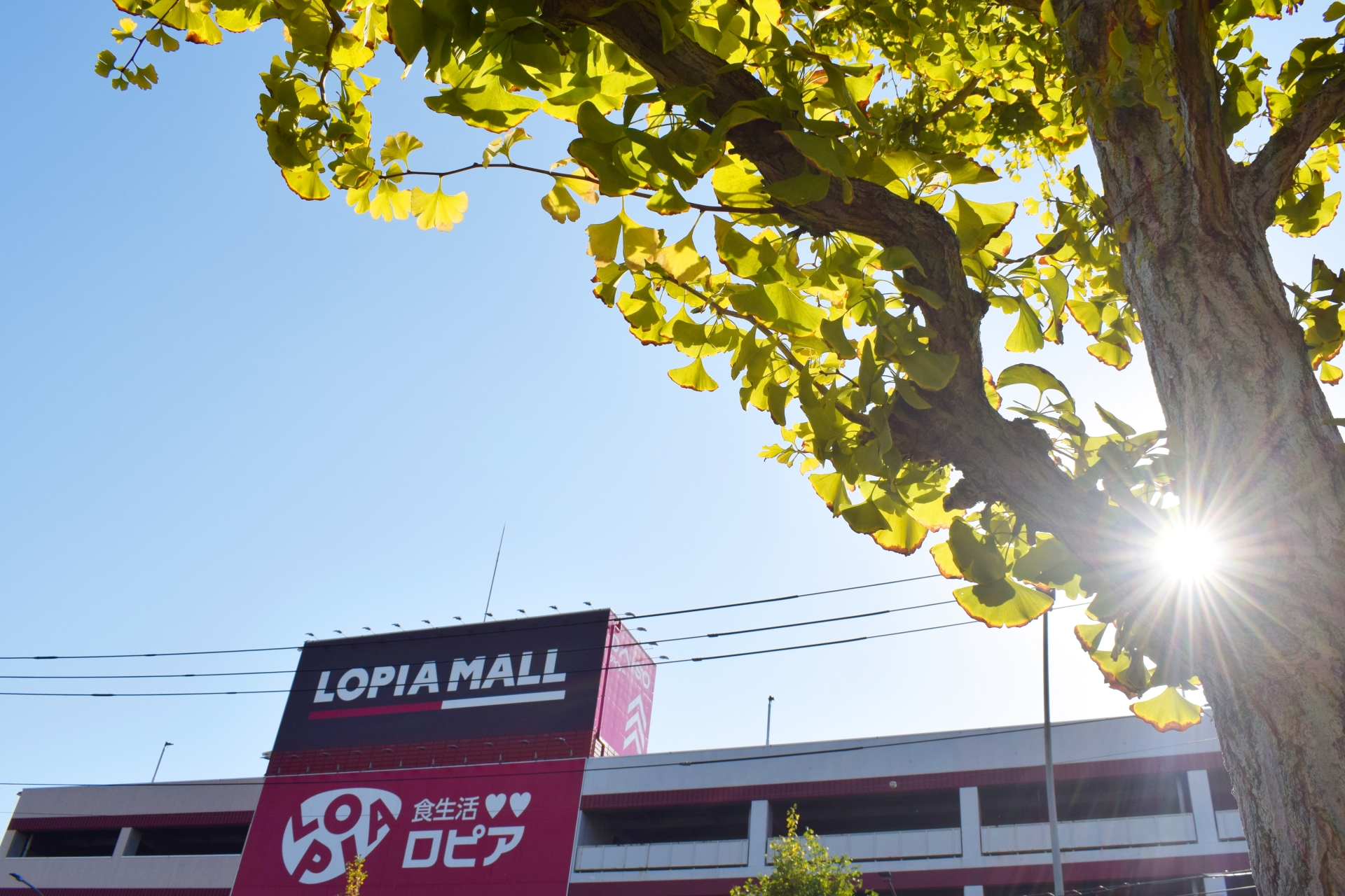 ロピア社長・高木勇輔氏が導いた急成長 “現場が主役”の運営がもたらした成果とは