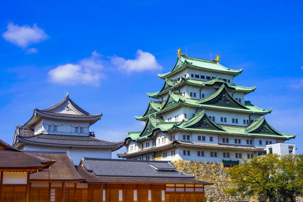 愛知県のスーパーを紹介！地元食材と名古屋の食文化を支えるローカルチェーン特集