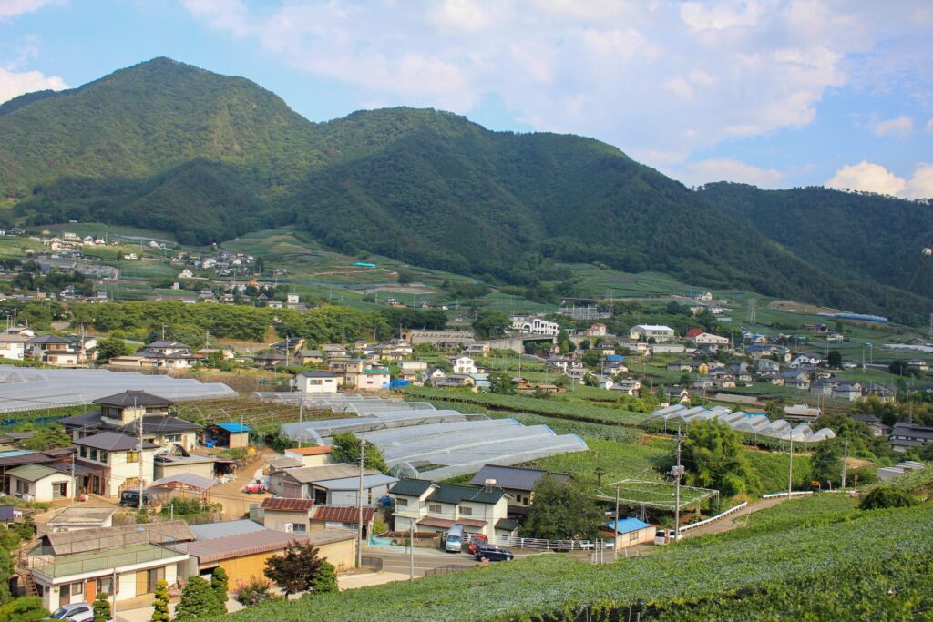 山梨県のスーパー5選！地元食材と甲州の食文化を支えるローカルチェーン特集