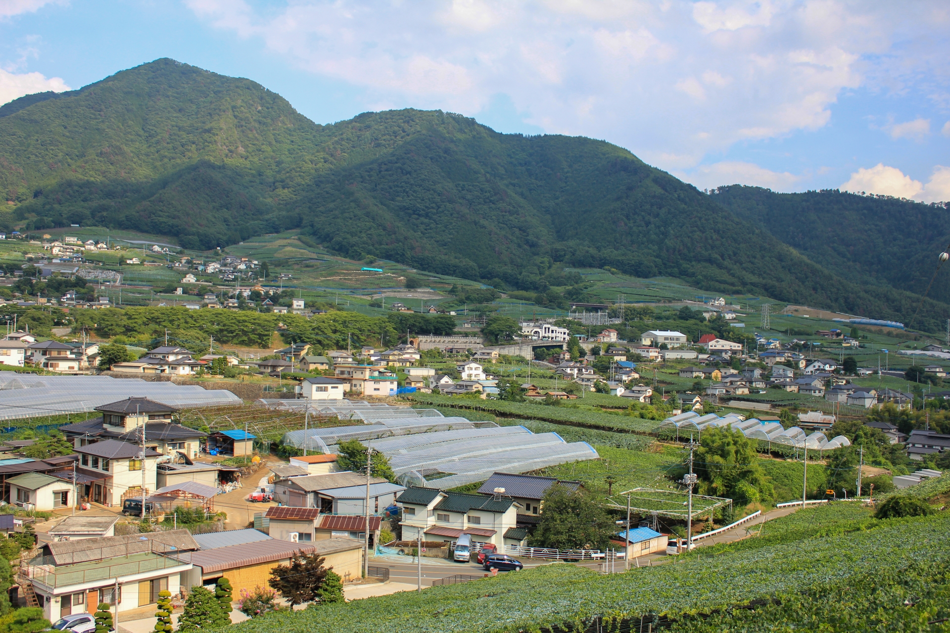 山梨県のスーパー5選！地元食材と甲州の食文化を支えるローカルチェーン特集