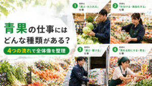 青果の仕事にはどんな種類がある？ 4つの流れで全体像を整理